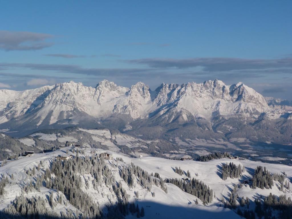 Ehrenbachhohe On Top Of The Mountain Kitzbühel Eksteriør billede