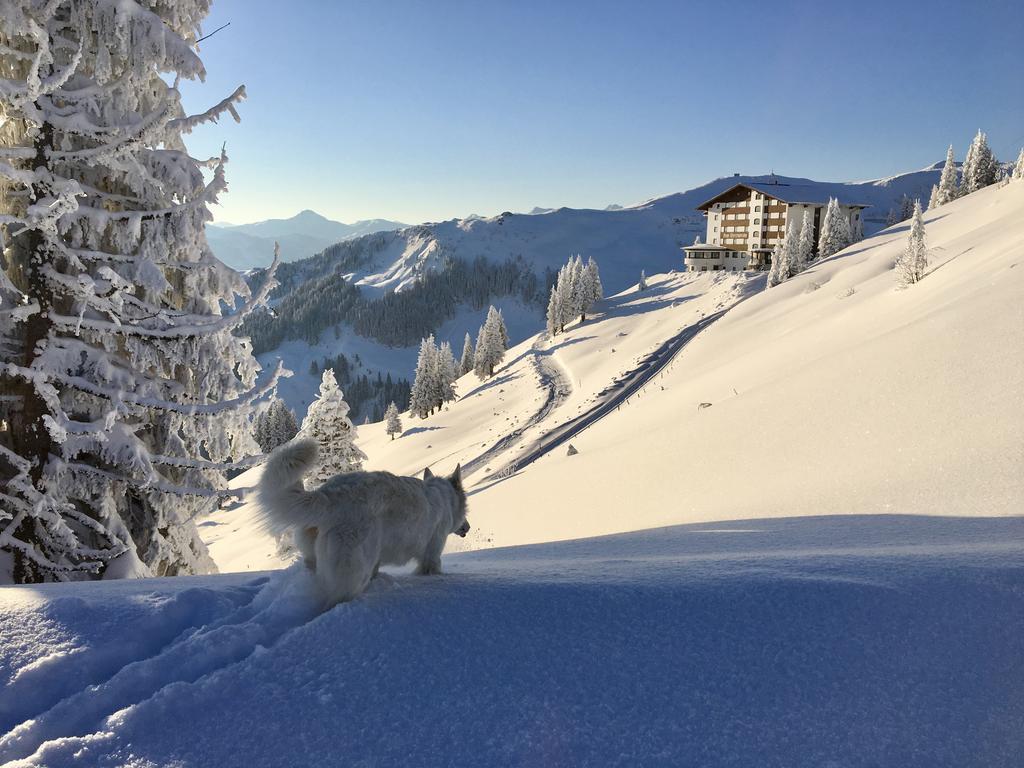 Ehrenbachhohe On Top Of The Mountain Kitzbühel Eksteriør billede